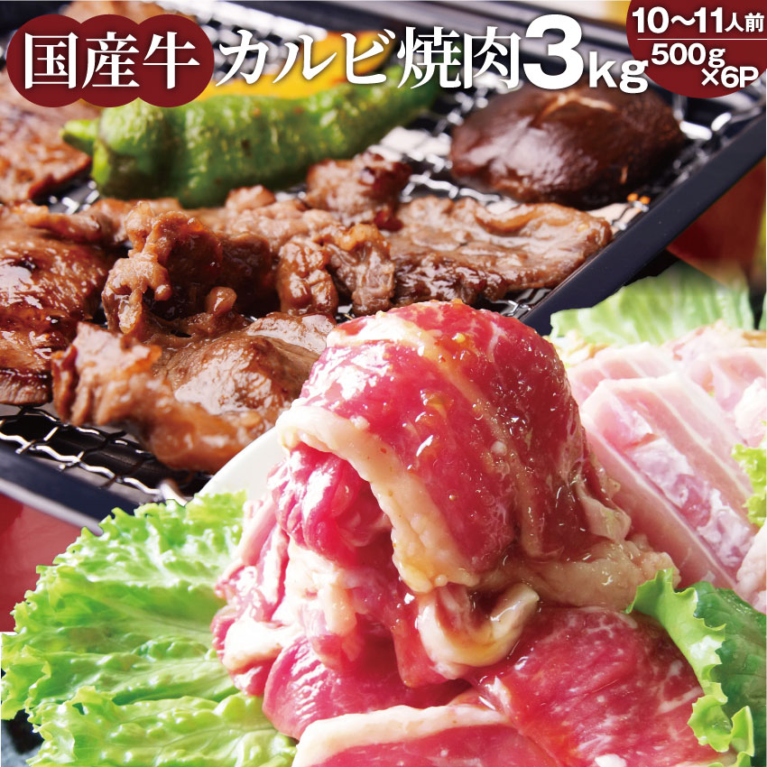 カルビ 焼肉 たっぷり メガ盛り 3kg牛肉 カルビ 味付 タレ漬 国産 国産牛 味付 バラ 焼肉用 焼き肉 アウトドア お家焼肉 レジャー 送料無料 バーベキュー 肉 食材 セット バーベキューセット キャンプ キャンプ飯