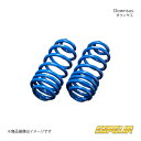 Downsus フロント RC300h AVC10 ローダウンスプリング Espelir エスペリア 品番:ESX-5133F