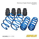 Downsus+スーパーダウンサスラバー 1台分セット ES300h AXZH11 Espelir エスペリア 品番:ESX-7230+BR-7228F+BR-...