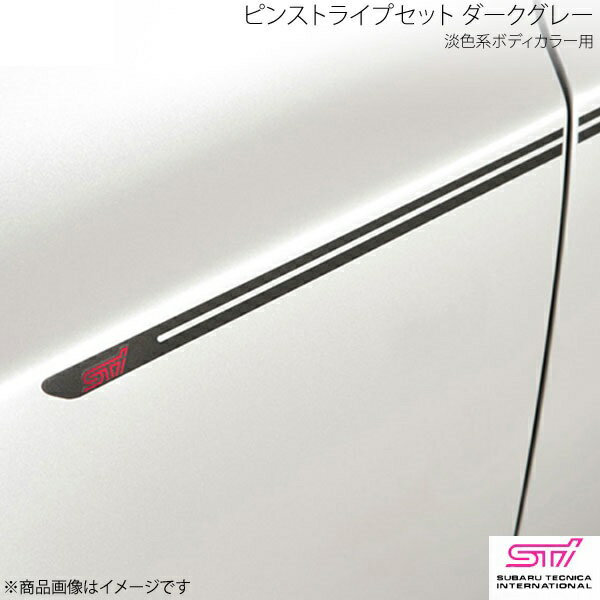 ピンストライプセット ダークグレー 淡色系ボディカラー用 レガシィB4 BM アプライド:A/B/C/D/E STI エスティーアイ ST91042EZ010