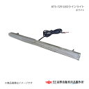ATS-729 LEDラインライト(ホワイト) 高野自動車 タカノ AB02A800