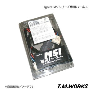 Ignite MSIシリーズ専用ハーネス ラッシュ J200/J2100 T.M.WORKS ティーエムワークス 品番:MS1001