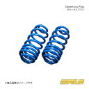 Espelir エスペリア Downsus Plus フロント IS300h AVE30 品番:ESX-4138F