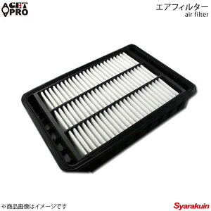 GET-PRO ゲットプロ エアフィルター デリカD:5 CV4W 10/01-'11/12 4B11 MIVEC - c1500a023-014