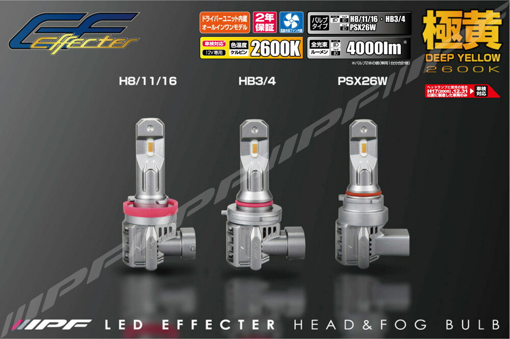 IPF LED エフェクター ヘッド＆フォグバルブ Eシリーズ フォグランプ H8/11/16 2600K 4000lm バルブ2本分 エルグランド E51 H14.05〜H16.08 E104HFBW 2