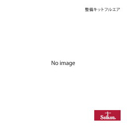 Seiken セイケン 整備キットフルエア いすゞトラック CYY51V5 6WF1 2003.05～2005.04 (純正品番:1-87831-008-0) 410-08271