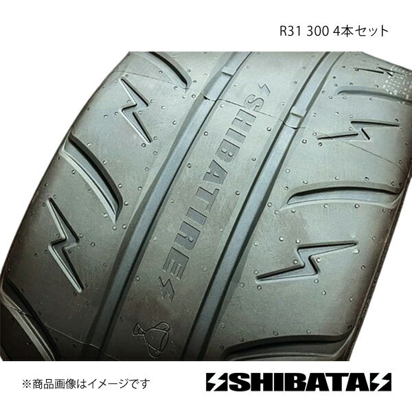 SHIBATIRE Х R31 255/40R17 300 ñ 4ܥå R13854