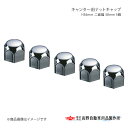 高野自動車 タカノ キャンター用ナットキャップ H36mm 二面幅 38mm 5ケ AD964325