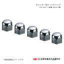 高野自動車 タカノ キャンター用ナットキャップ H47.5mm 二面幅 38mm 5ケ AD964338