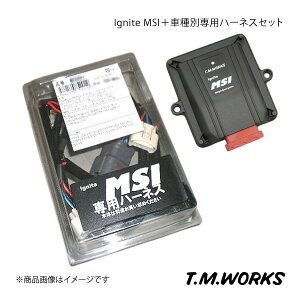 T.M.WORKS ティーエムワークス Ignite MSI+車種別専用ハーネスセット S2000 AP1 品番:MSF+MS1010