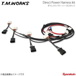 T.M.WORKS ダイレクトパワーハーネスキット GS GS191/GS196 3500cc 2GR-FSE 05.8〜11.12 DP1014