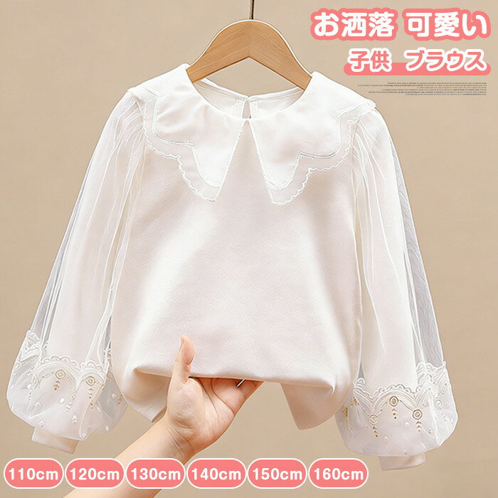 �q�� �L�b�Y �u���E�X ���̎q �V���c �p�t�X���[�u ������� ���� ���̎q �q�ǂ� �W���j�A �V���c ���[�X�̋� �t�H�[�}�� �u���E�X �� ���w�� ���Ǝ� ������ ������ �q���� �g�b�v�X �u���E�X ������� ������ ���� �R�b�g�� �z���C�g 110 120 130 140 150 160cm