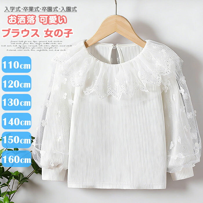 �u���E�X ���̎q �q�� �L�b�Y ���u �V���c �p�t�X���[�u ������� ���� ���̎q �q�ǂ� �W���j�A �V���c ���[�X�̋� �t�H�[�}�� �u���E�X �� ���w�� ���Ǝ� ������ ������ �q���� �g�b�v�X �u���E�X ������� ������ ���� �R�b�g�� �z���C�g 110 120 130 140 150 160cm