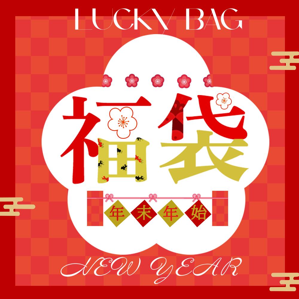 【2025年お得な福袋登場】iPhone 充電器 スマホケース 耳あて マスク 人気商品から選べる 100枚 3Dマス..