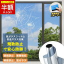 【SS特価!2480→1062円!】窓用フィルム 防犯用 窓ガラスフィルム ガラス保護 飛散防止 西日対策 結露防止 目隠しフィルム 外から見えない 防犯効果 遮光 断熱 UVカット 冷気遮断 子供 紫外線カット 防災 ステンドグラス 窓防寒シールド 防寒対策 安全ガラス対策 フィルム