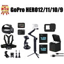 楽天ランキング1位常連 当店一番人気アクセサリーセット＋GoPro HERO12 HERO11 black HERO10 black HERO9 black バッテリーキット アクセサリー ゴープロ ヒーロー12 11 10 9 バッテリー 高品質3Wayグリップ スターターキット マウント