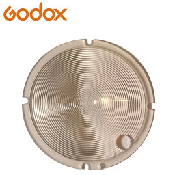 正規代理店品 2022年改良版 GODOX AD100Pro インナーパネル マゼンタフィルタータイプ