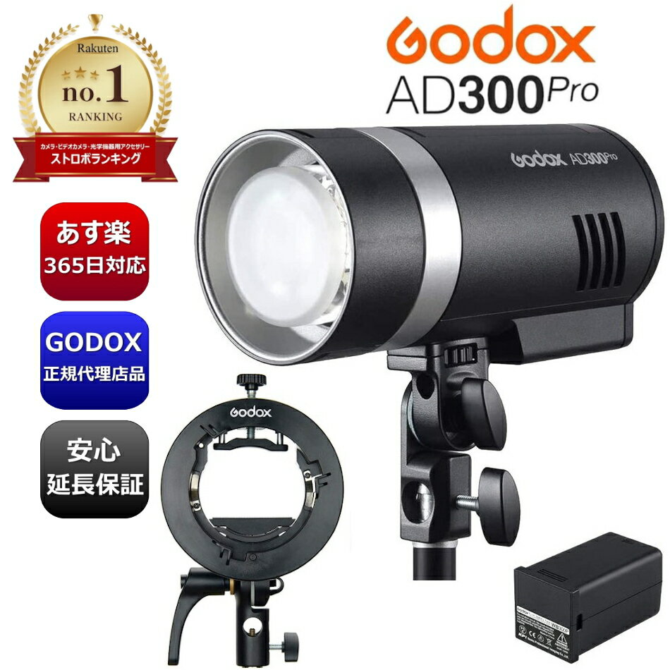 楽天市場】godox ad300pro(アクセサリー・部品|TV・オーディオ 楽天市場】godox ad300pro(アクセサリー・部品|TV・オーディオ