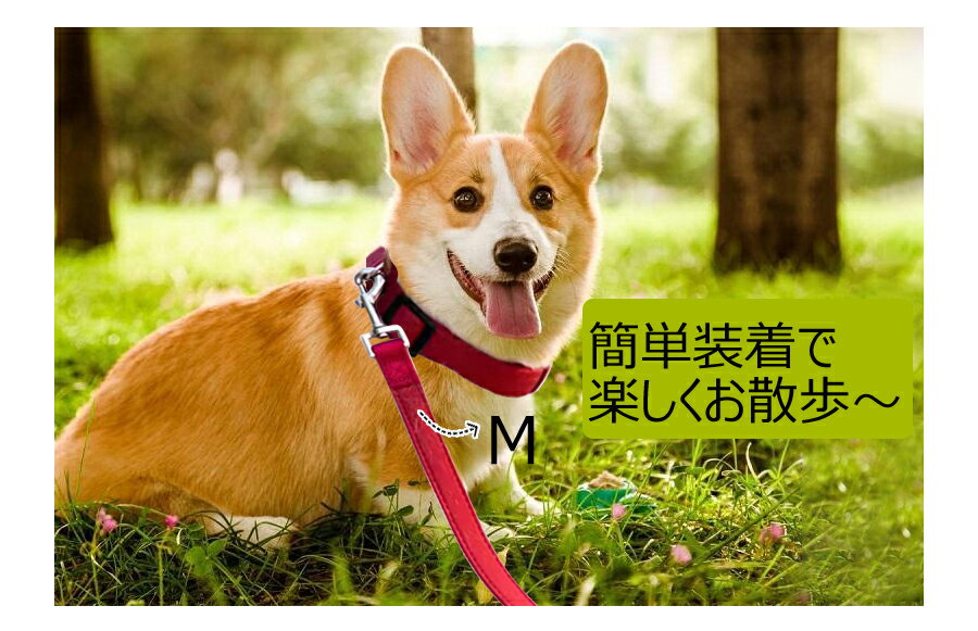 ★在庫一掃セール★在庫限り 犬用引きひも リード やわらかい おしゃれ 軽い 丈夫 犬...