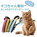 ★在庫一掃セール★在庫限り 猫 猫用 ハーネスリード 猫用一体型 散歩ハーネス 猫用品 ねこ リード付 おでかけ ペット 猫ハーネス ベスト かわいい 抜けない...
