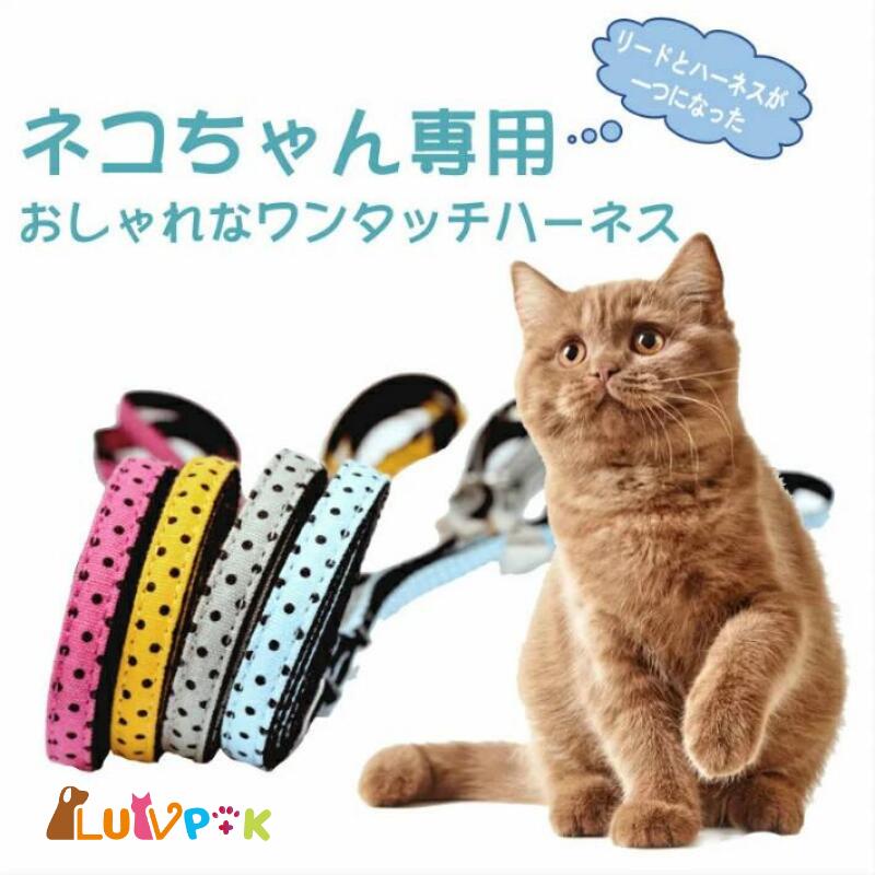 ★在庫一掃セール★在庫限り 猫 猫用 ハーネスリード 猫用一体型 散歩ハーネス 猫用品 ねこ リード付 お..