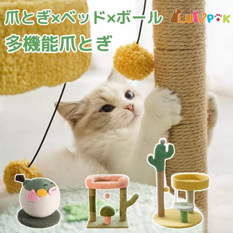 猫 爪とぎ 多機能 ベッド付き ボール付き キャットタワー サボテン型 猫用 おしゃれ コンパクト 据え置..