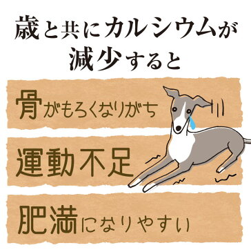 【訳あり 50%OFF】(賞味期限2019.1.11)『【メール便送料無料】犬 カルシウム サプリ『Dr.ママルシリーズ カルシウム』犬用 サプリメントうなぎの骨