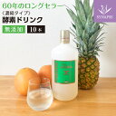  富元酵素（1000mL×10本) 酵素飲料 酵素 ダイエット ファスティング 酵素ジュース サプリメント シナプス 健康食品 ギフト 