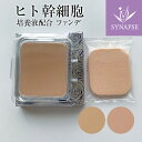  レフィル ヒト幹細胞 シェルマ SC パウダー ファンデーション (11g) 《 エンチーム 正規販売店 》 SPF32 / PA+++ ファンデ UV カバー力 しっとり 高保湿 美容液 幹細胞培養液 エンチーム 日本製 紫外線 日焼け止め 