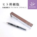 アイブローペンシル シェルマ SC アイブロー (ナチュラルブラウン) 眉毛 まゆ毛 保湿 しっとり 描きやすい アイブロウ ペンシル 鉛筆 眉墨 ヒト脂肪細胞順化培養エキス ヒトカン細胞 コスメ 化粧品 《 エンチーム 正規販売店 》 日本製