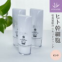 ★お得な3個セット★ ヒト幹細胞 シェルマ SC リキッド ファンデーション (30g) ピンク 《 エンチーム 正規販売店 》 美容液 下地 カバー力 肌に優しい 保湿 ファンデーション リキッド ヒト 幹細胞 幹細胞培養液 コスメ 化粧品 日本製(4)