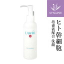 《送料無料》ヒト幹細胞 洗顔料 ラウイ SC フェイスウォッシング (150mL)  肌にやさしい 洗顔 ミルクタイプ オレンジエキス 酵母 幹細胞化粧品 ヒト 幹細胞 コスメ 化粧品 ヒトカン細胞 乾燥肌 日本製