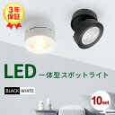スポットライト LED一体型 10個セット 高輝度 ブラケットライト ブラック ホワイト 電球色 自然色 昼白色 LED内蔵式 LED 一体式 おしゃれ 北欧 ...
