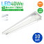 ٻη ľշ LED١饤ȡ10åȡľɷָ ¦ LEDָ  40W 2 Ķʥͥ ۸ LEDľ 40wŷľ ָ  η 󥰥饤 ١ 饤 ˥å  Ź  ȼͳ320 ۸ (SC-BL120-006-OS-10SET)