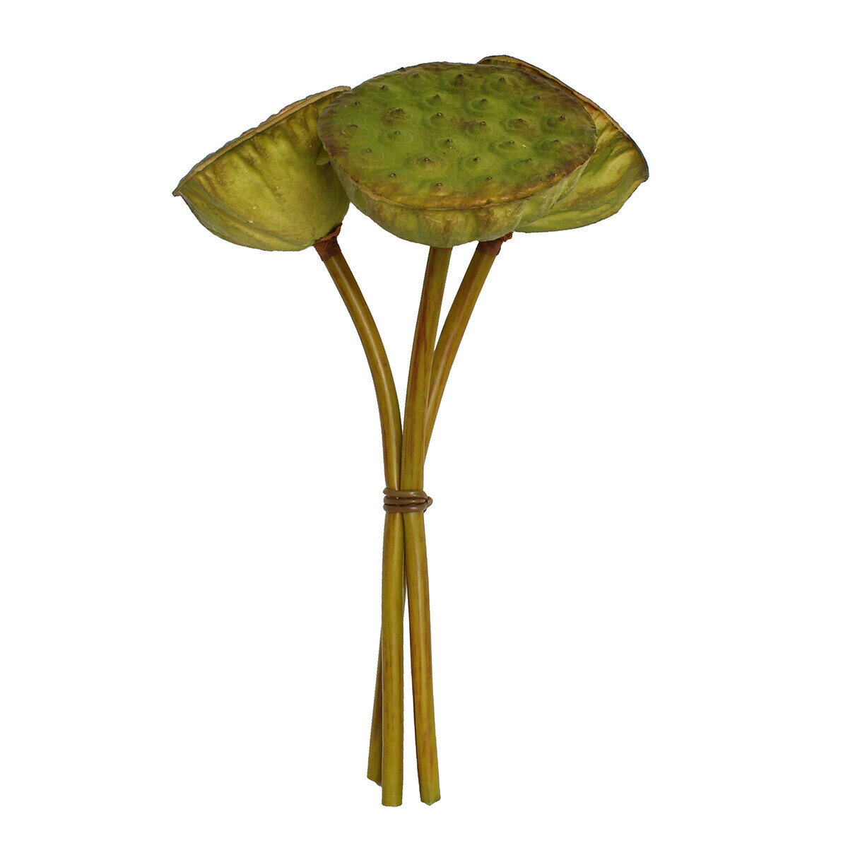 フェイクグリーン 蓮の実 ハス ロータス 造花