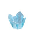 水雲竜 小 (200入) 両面OP珍味入 樹脂カップ 容器 キッチン 日本製 料理演出 和食料理 飲食店 ホテル 旅館 国産 お祝い 高級感 お正月 和食 和モダン 業務用 おしゃれ お節