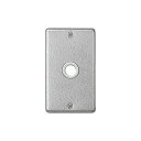 パナソニック フルカラー 新金属大穴電話線プレート 1連用 取付枠付 WN7561