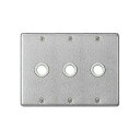 パナソニック フルカラー 新金属大穴電話線プレート 3連用 取付枠付 WN7563