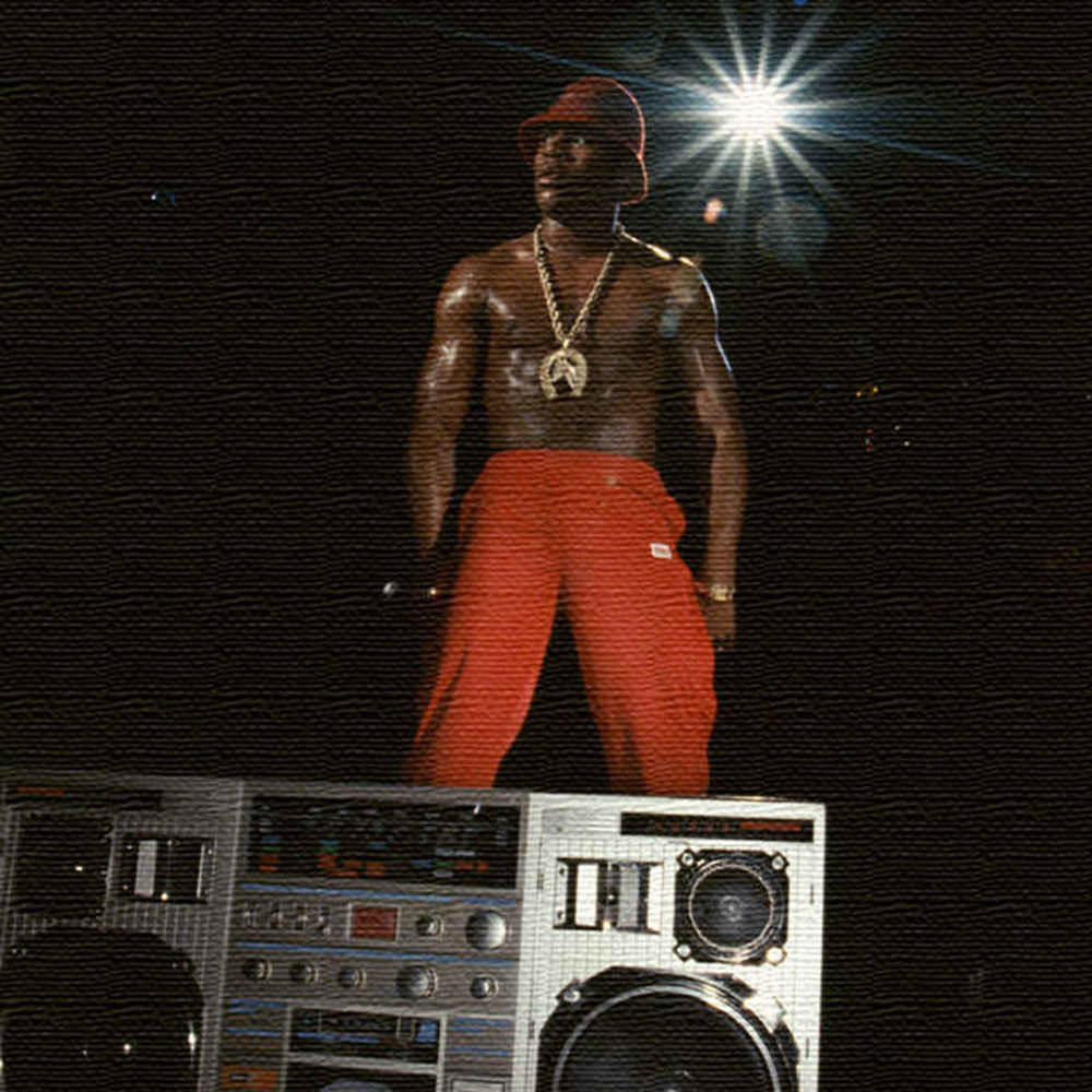 デニス・モリスのファブリックパネル/LL・クール・J Mサイズ（30cm×30cm） ウォールアート 壁掛け おしゃれ 北欧 モダン 新築祝い 開店祝い 結婚祝い お洒落 玄関 寝室 リビング 応接室 ポスター インテリア 内装 イメージチェンジ 模様替え リメイク 壁穴 目隠し