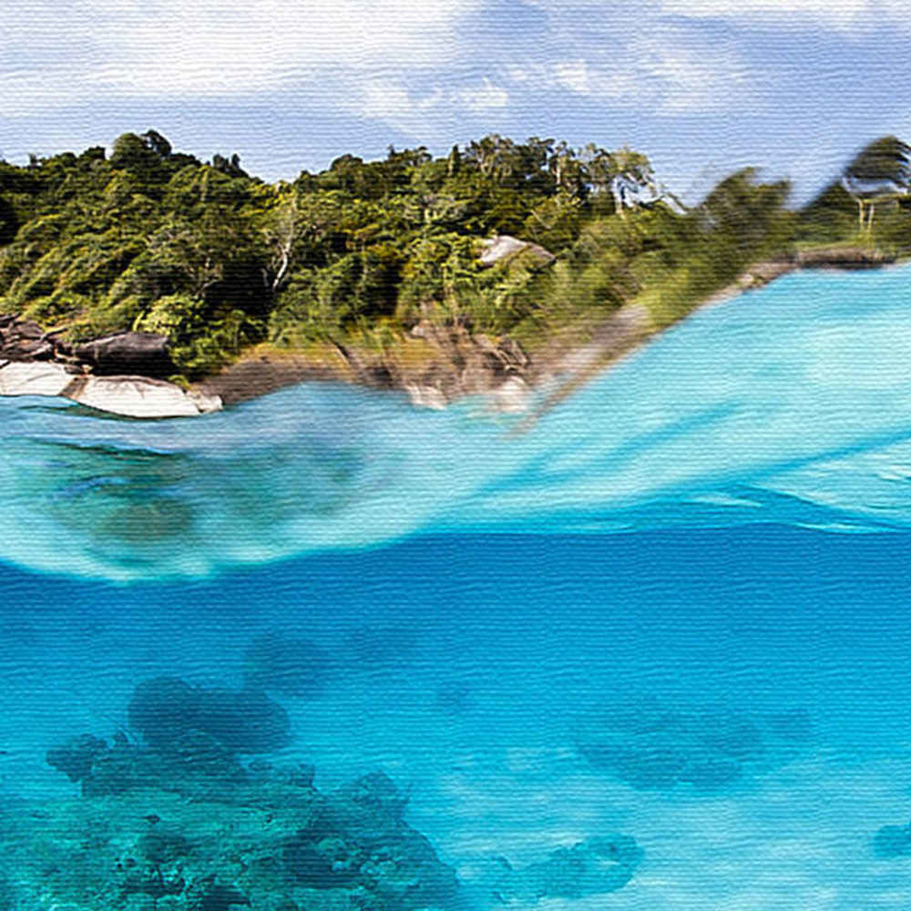 楠哲也氏が撮影したインテリアパネル/水中 Mサイズ（30cm×30cm） ウォールアート 壁掛け おしゃれ 北欧..