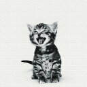 猫のファブリックパネル 雑貨 ポスター Mサイズ(30cm×30cm) ウォールアート 壁掛け おしゃれ 北欧 モダン 新築祝い 開店祝い 結婚祝い お洒落 玄...