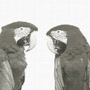 【アートデリ】鳥のファブリックパネル インテリア 雑貨 アート シンプルモダン Lサイズ (57cm×57cm) ウォールアート 壁掛け おしゃれ モダン 新築...