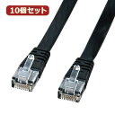 送料無料 10個セットサンワサプライ UTPエンハンスドカテゴリ5より線フラットケーブル(ブラック・1m) LA-FL5-01KX10(2)
