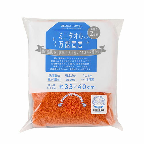 送料無料 本多タオル ミニタオル万能宣言 おぼろタオル ハンドタオル2枚組 ウォーム系 BN-WAR