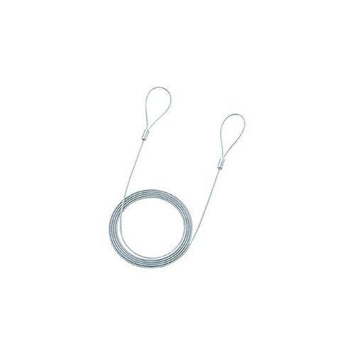 【10個セット】 サンワサプライ eセキュリティ(ワイヤー、2.0m・2.2mm) SLE-11W-2X10