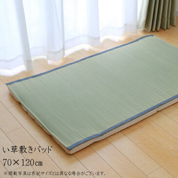 送料無料 純国産 やわらかい草の敷きパッド デニム 素肌草 ベビー汗取P 約70×120cm ベビー ジュニア 赤ちゃん キッズ 畳み ねござ 寝ござ い草寝ござ 寝茣蓙 ネゴザ 和風 涼感 ひんやり 敷きパッド 敷パッド い草マット おしゃれ 敬老の日