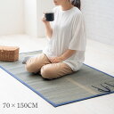 カーペット ござ 70×150cm コンパクト ズレにくい ブルー おでかけ 畳シート 持ち運び 抗菌 小さめ ピクニック お花見 たためる 消臭 アウトドア レジャーシート 防臭