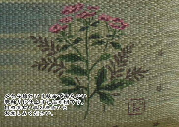 送料無料 純国産 捺染返し い草座布団 藤袴 ふじばかま 5枚組 約55×55cm×5P ひんやり クッション性 座蒲団 セット ザブトン ざぶとん 日本製 イ草座布団 いぐさ イ草 井草 い草 おしゃれ かわいい 和風 和室 客間 宴会場 座敷 席 居酒屋