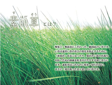 送料無料 純国産 やわらかい草の敷きパッド デニム 素肌草 ベビー汗取P 約70×120cm ベビー ジュニア 赤ちゃん キッズ 畳み ねござ 寝ござ い草寝ござ 寝茣蓙 ネゴザ 和風 涼感 ひんやり 敷きパッド 敷パッド い草マット おしゃれ 敬老の日