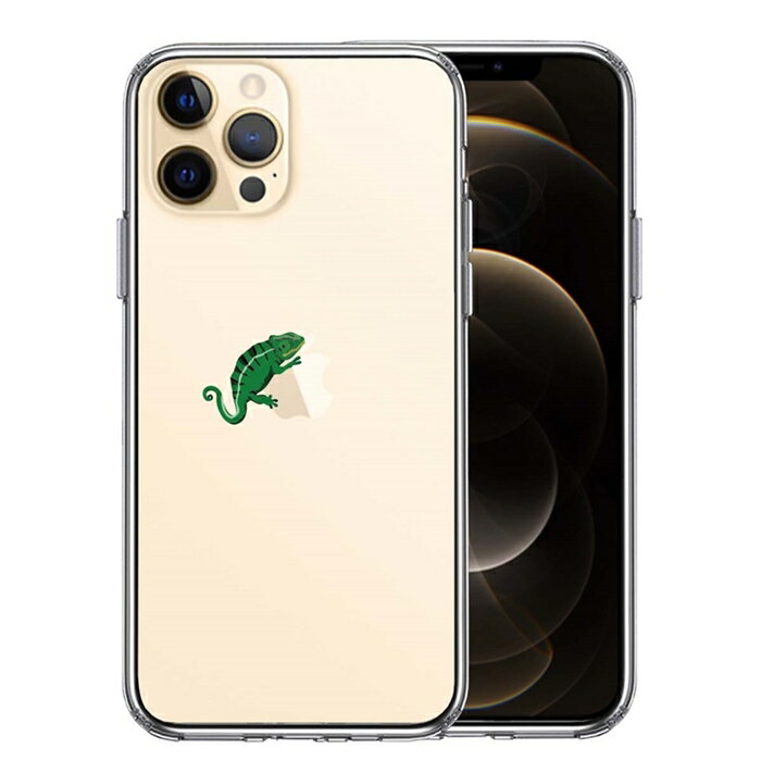 10個セット iPhone12 Pro 側面ソフト 背面ハード ハイブリッド クリア ケース カメレオン 2 爬虫類